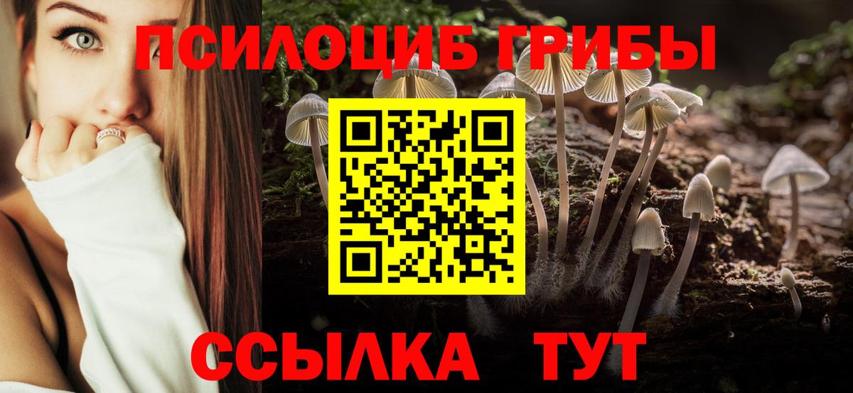 Калач-на-Дону  Псилоцибиновые грибы GOLDEN TEACHER  Вход с VPN  Псилоцибиновые грибы ЛСД 